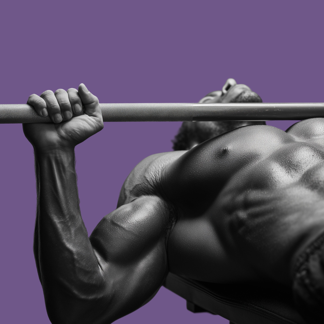 Sheiko Bench Press Only Program