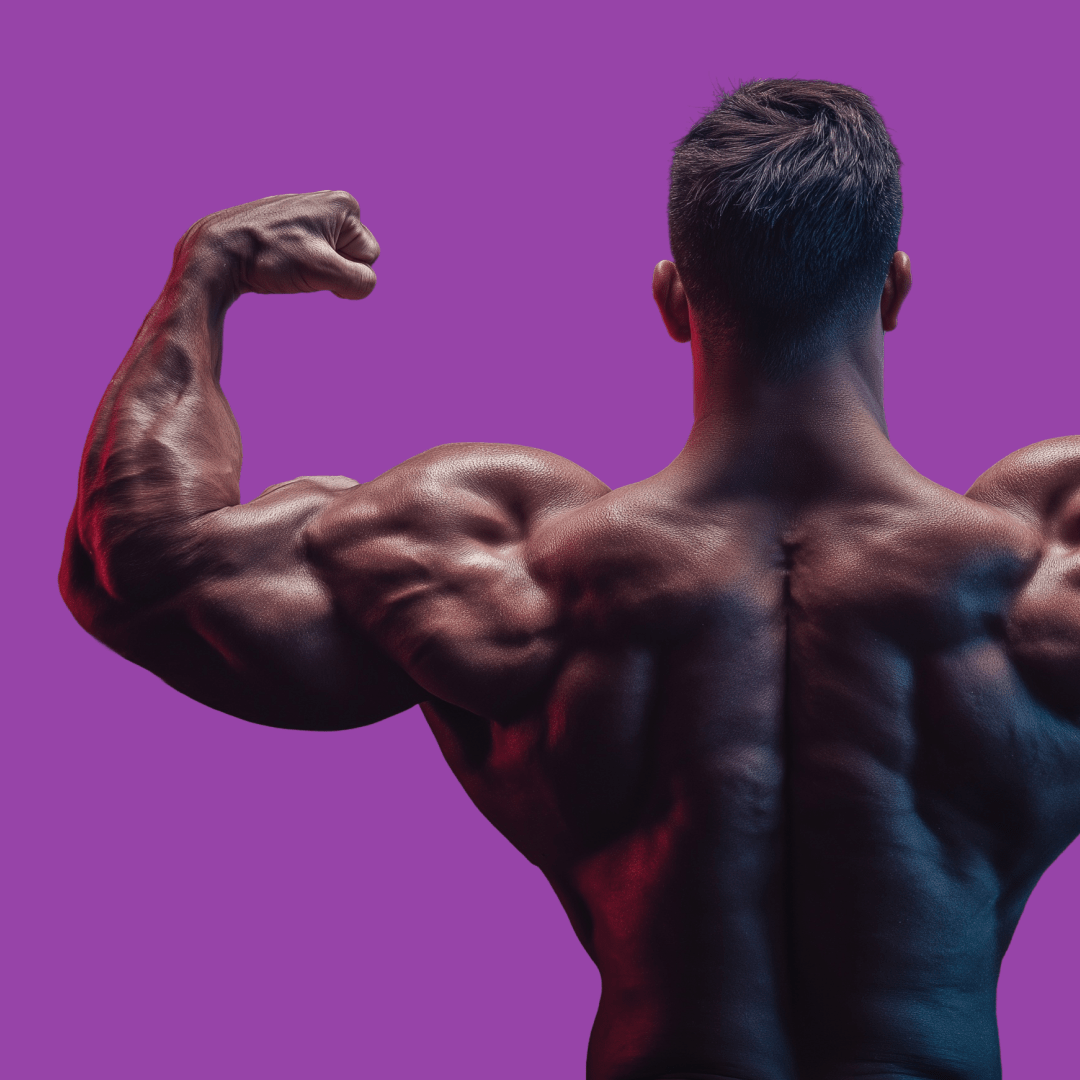 Kizen Back Hypertrophy Program