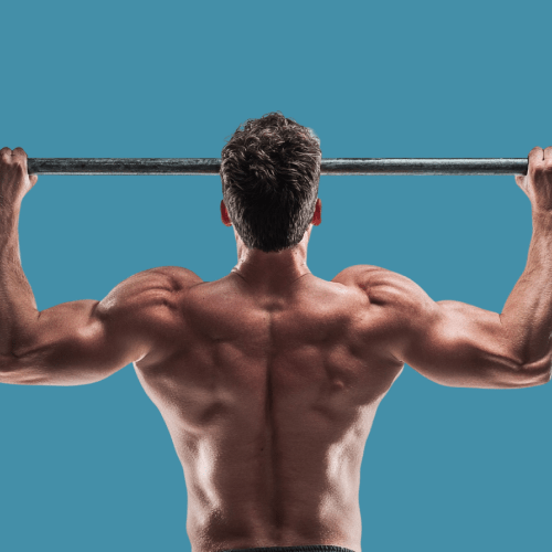 Basic Beginner Routine(3x5)