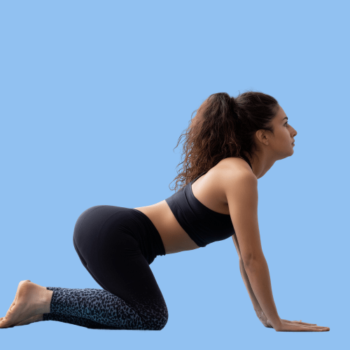 Strong Curves: Bootyful Beginnings