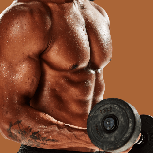 SuperGains (Superset Program)