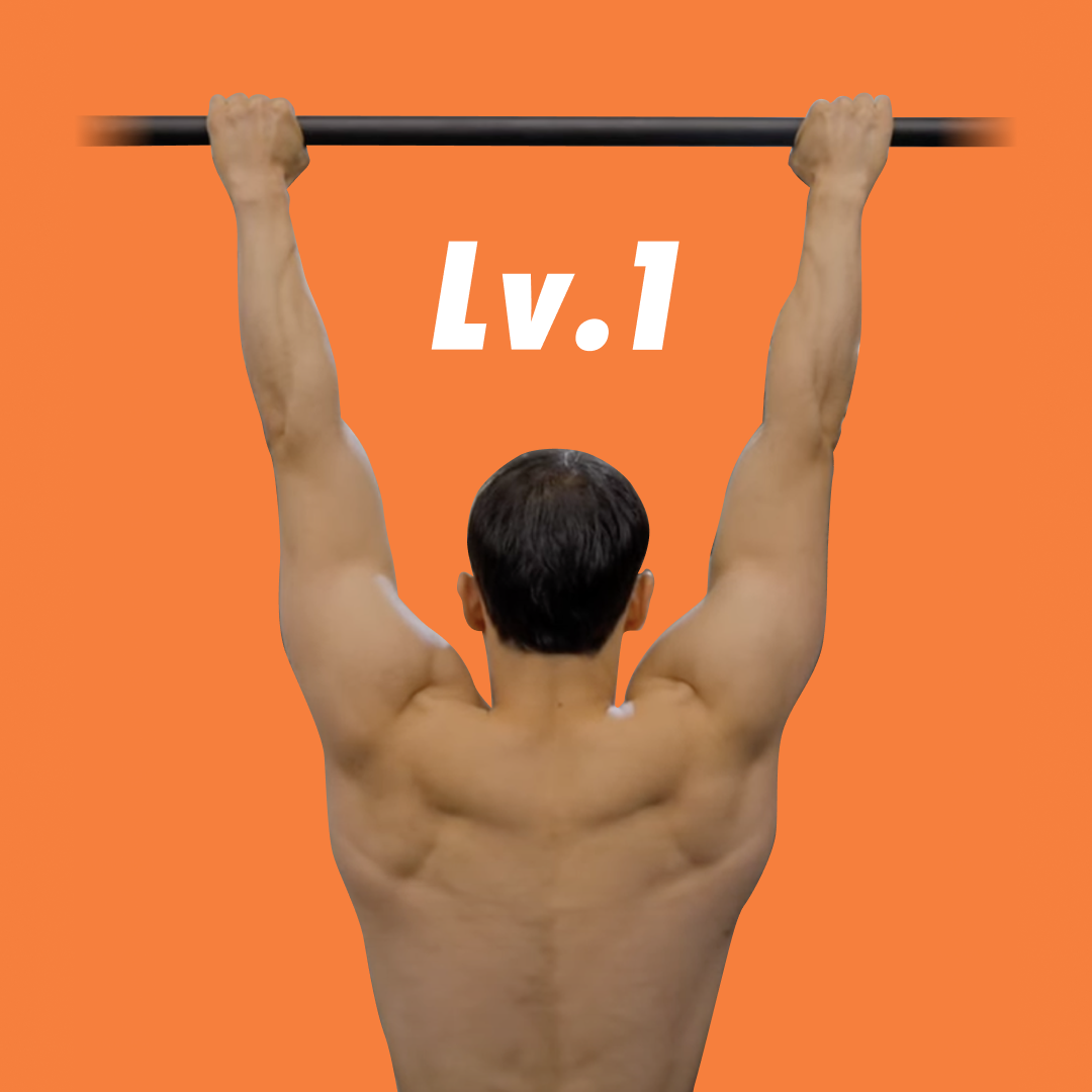 Pull-Up Challenge: From 0 to 1 Rep Lv.1-5